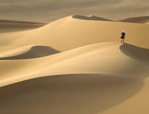 Sahara experience